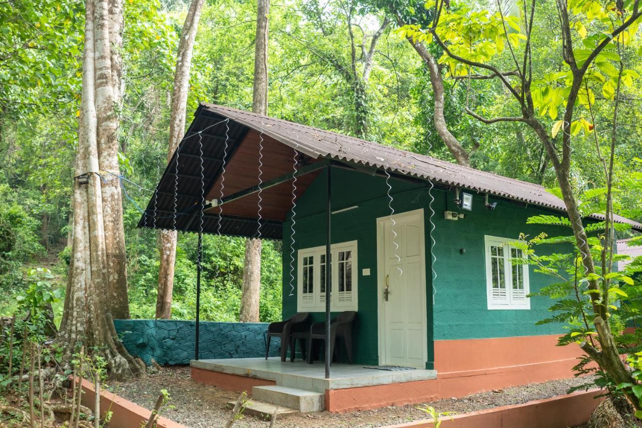 The Nest Thattekad Thattakad Екстер'єр фото